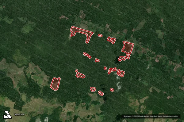 Imagem de satélite de Infração da Flora em Alenquer - PA
