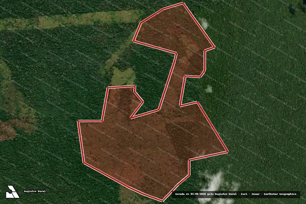 Imagem de satélite de Infração Ambiental em Boca do Acre - AM