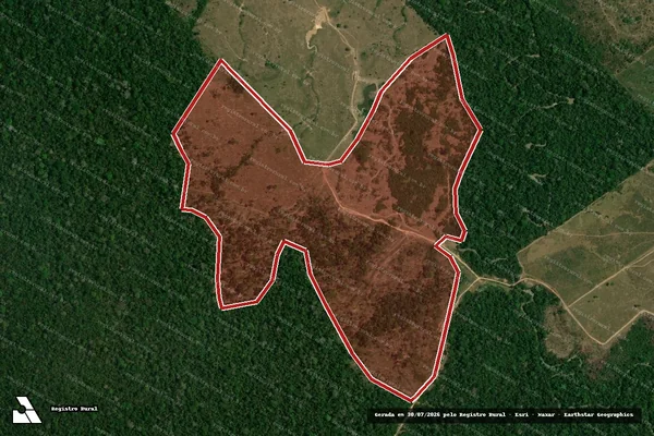 Imagem de satélite de Infração da Flora em Boca do Acre - AM