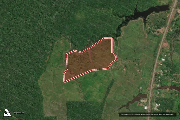 Imagem de satélite de Infração Ambiental em Careiro - AM