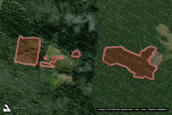Imagem de satélite de Infração da Flora em Feijó - AC