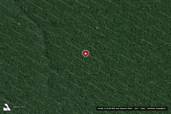 Imagem de satélite — Embargo IBAMA — Infração da Flora - Portel/PA