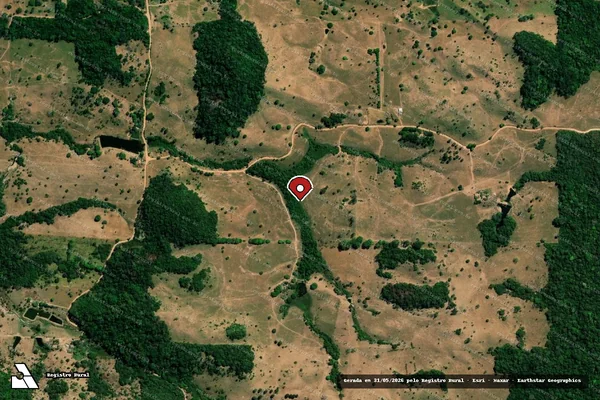 Imagem de satélite — Embargo IBAMA — Infração Ambiental - Cacoal/RO