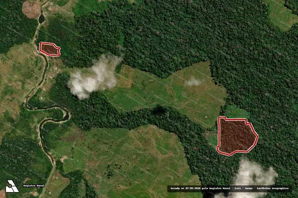 Imagem de satélite — Embargo IBAMA — Infração da Flora — Feijó/AC