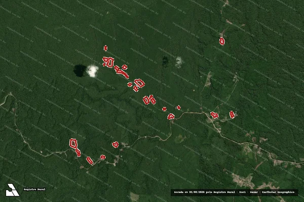 Imagem de satélite de Infração da Flora em Manaus - AM