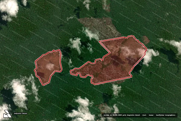 Imagem de satélite — Embargo IBAMA — Infração da Flora - Portel/PA