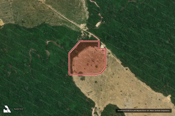 Imagem de satélite de Infração da Flora em Itaituba - PA