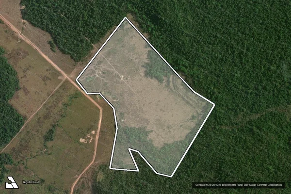 Imagem de satélite de Desmatamento em São Félix do Xingu - PA