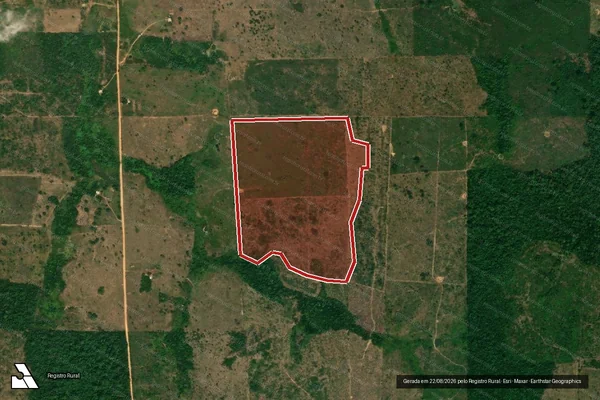 Imagem de satélite de Infração da Flora em São Félix do Xingu - PA
