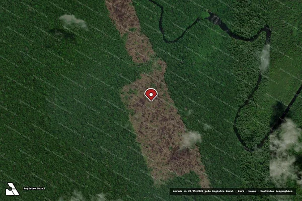 Imagem de satélite de Infração da Flora em Apuí - AM