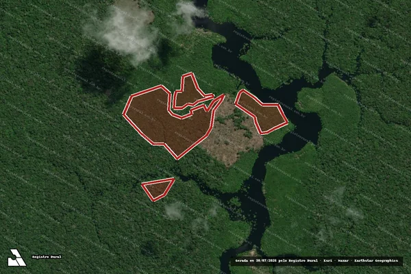 Imagem de satélite — Embargo IBAMA — Infração da Flora — Autazes/AM
