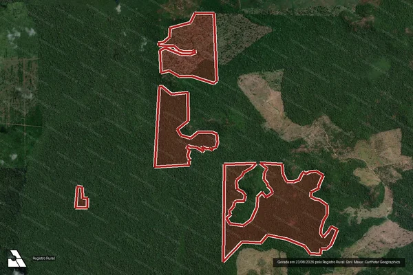 Imagem de satélite de Infração da Flora em Altamira - PA