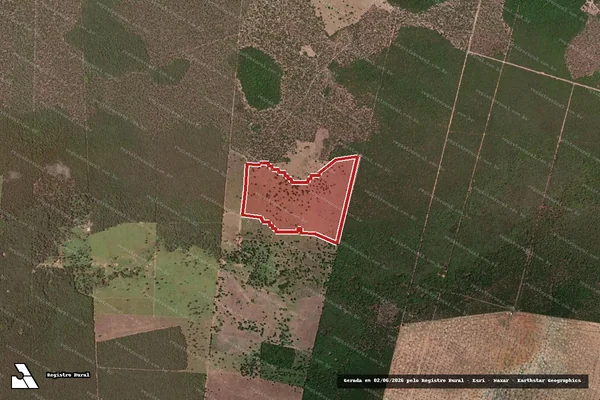 Imagem de satélite de Infração da Flora em Juvenília - MG