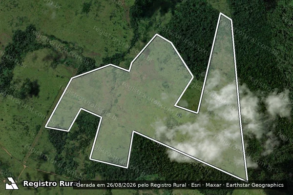 Imagem de satélite de Infração da Flora em São Félix do Xingu - PA