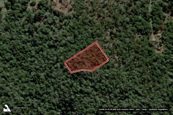 Imagem de satélite de Infração da Flora em São João do Triunfo - PR