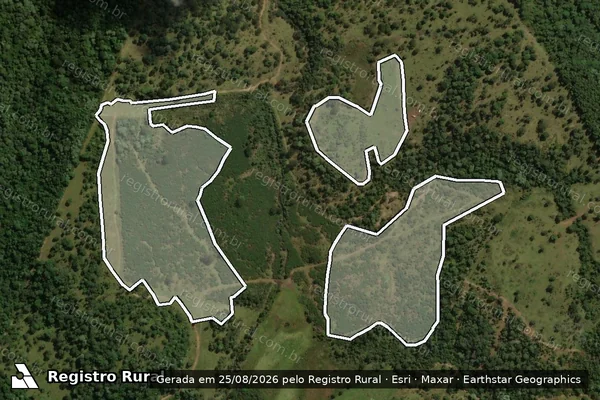 Imagem de satélite de Infração Ambiental em Coronel Domingos Soares - PR