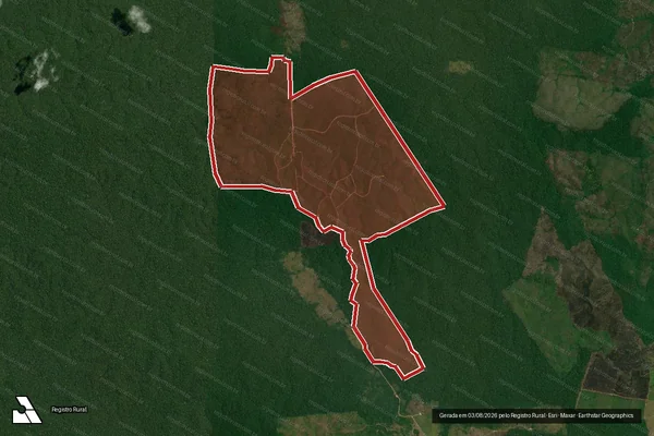 Imagem de satélite de Infração da Flora em Apuí - AM