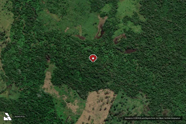 Imagem de satélite de Infração Ambiental em Óbidos - PA (marcador da localização)