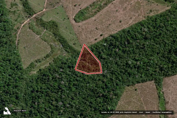 Imagem de satélite de Infração da Flora em Novo Progresso - PA