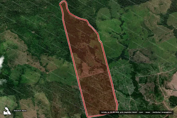 Imagem de satélite de Infração da Flora em Novo Progresso - PA