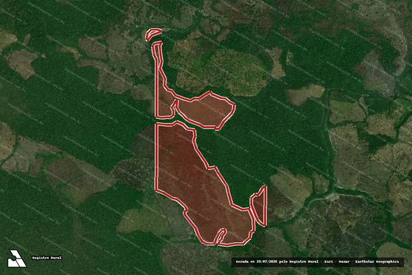 Imagem de satélite de Infração da Flora em Careiro da Várzea - AM