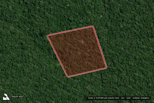 Imagem de satélite de Infração da Flora em Portel - PA