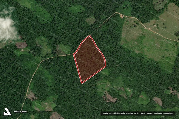 Imagem de satélite de Infração da Flora em Óbidos - PA
