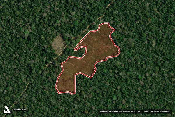 Imagem de satélite de Infração da Flora em Feijó - AC
