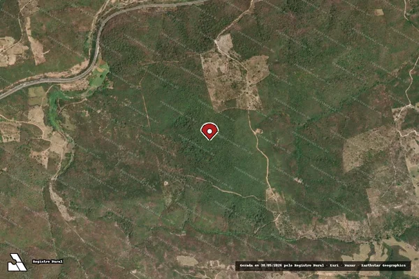 Imagem de satélite de Infração Ambiental em Pesqueira - PE (marcador da localização)
