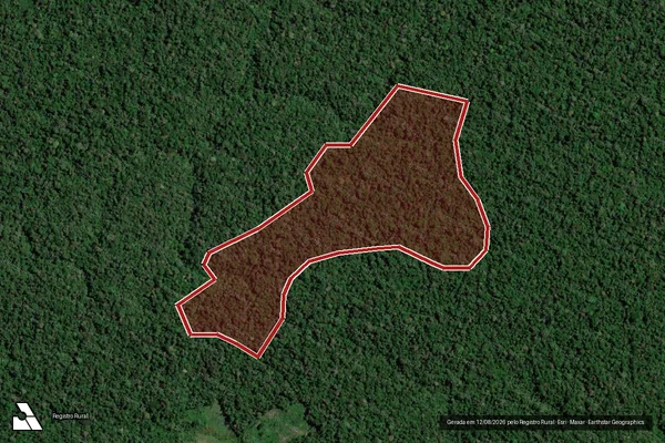 Imagem de satélite de Infração Ambiental em Portel - PA