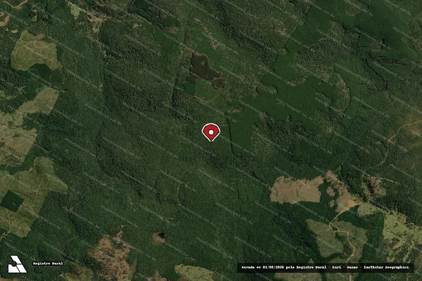Imagem de satélite de Infração Ambiental em Timbó Grande - SC (marcador da localização)