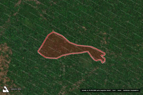 Imagem de satélite de Infração da Flora em Autazes - AM