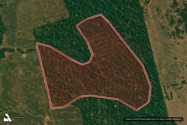 Imagem de satélite — Embargo IBAMA — Infração da Flora - Alta Floresta D'Oeste/RO