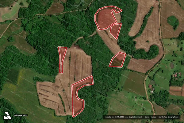 Imagem de satélite de Infração da Flora em São Pedro do Sul - RS