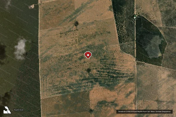 Imagem de satélite de Infração da Flora em Santa Rita de Cássia - BA (marcador da localização)