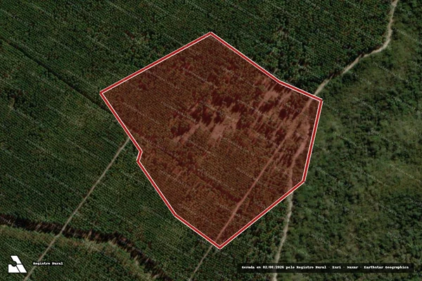 Imagem de satélite de Infração da Flora em São João do Paraíso - MG