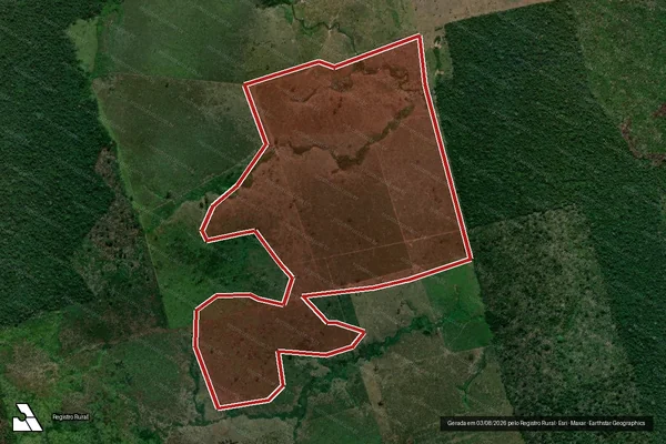 Imagem de satélite de Infração da Flora em São Félix do Xingu - PA