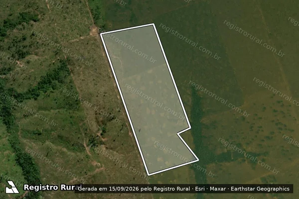 Imagem de satélite — Embargo IBAMA — Desmatamento - Porto Velho/RO