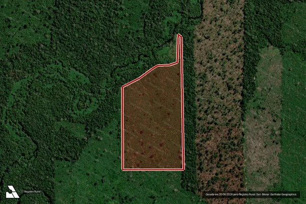 Imagem de satélite de Infração da Flora em Candeias do Jamari - RO
