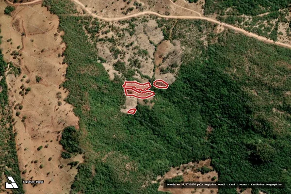 Imagem de satélite de Infração da Flora em Crixás - GO