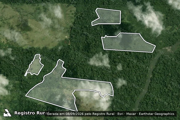 Imagem de satélite — Embargo IBAMA — Infração da Flora - Pacajá/PA