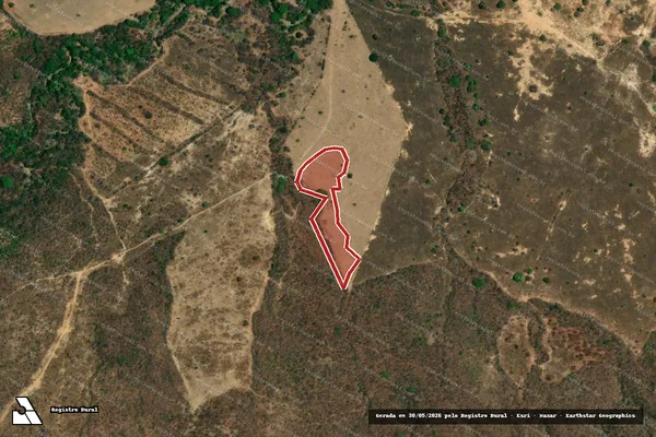 Imagem de satélite de Infração da Flora em Arinos - MG