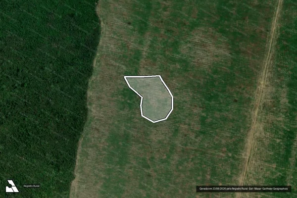 Imagem de satélite de Infração da Flora em Dom Eliseu - PA
