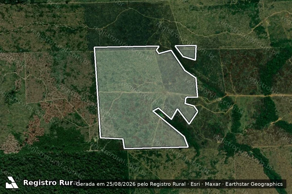 Imagem de satélite de Infração da Flora em Colniza - MT