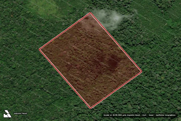 Imagem de satélite de Desmatamento em Anapu - PA