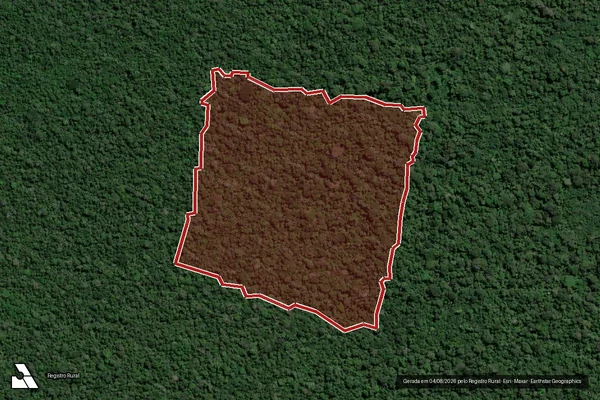 Imagem de satélite de Infração da Flora em Humaitá - AM
