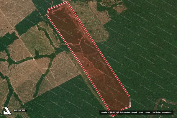 Imagem de satélite de Infração da Flora em Apiacás - MT