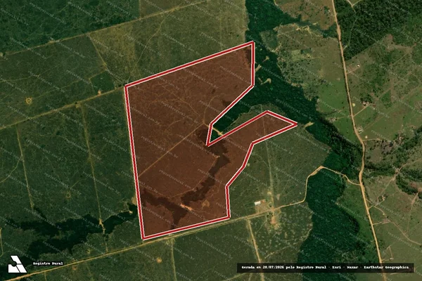 Imagem de satélite de Infração da Flora em Porto Velho - RO