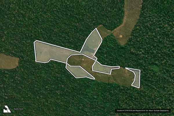 Imagem de satélite de Infração da Flora em Feijó - AC