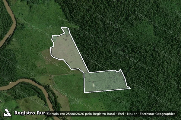 Imagem de satélite de Infração da Flora em Mojuí dos Campos - PA